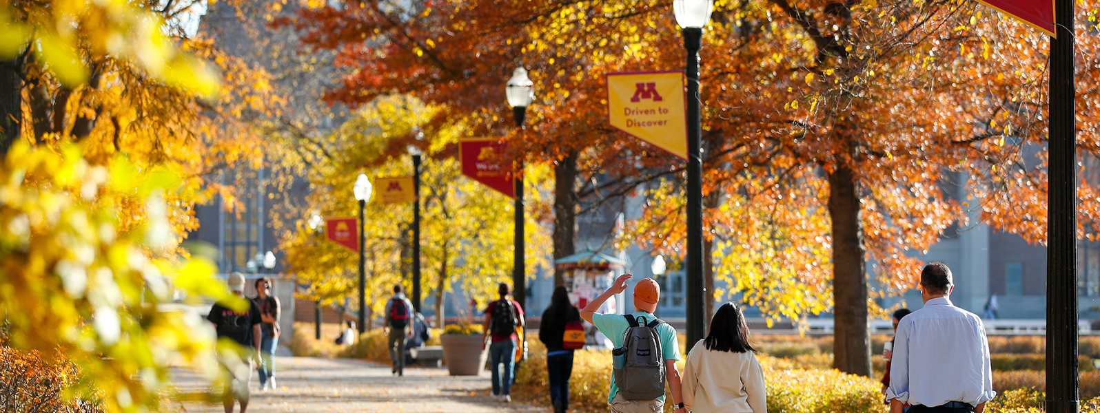 students walking among fall foliage on UMNTC campus