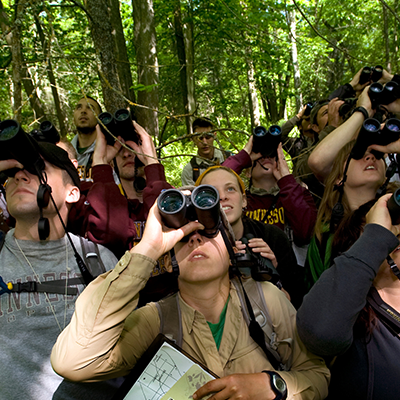 group os students looking up through binoculars in forets